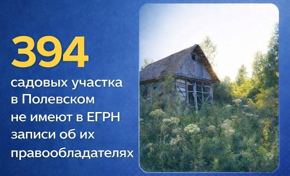 394 садовых участка в Полевском не имеют в ЕГРН записи об их правообладателях