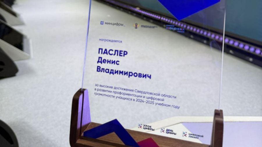 Денис Паслер получил награду федеральной программы в цифровой области