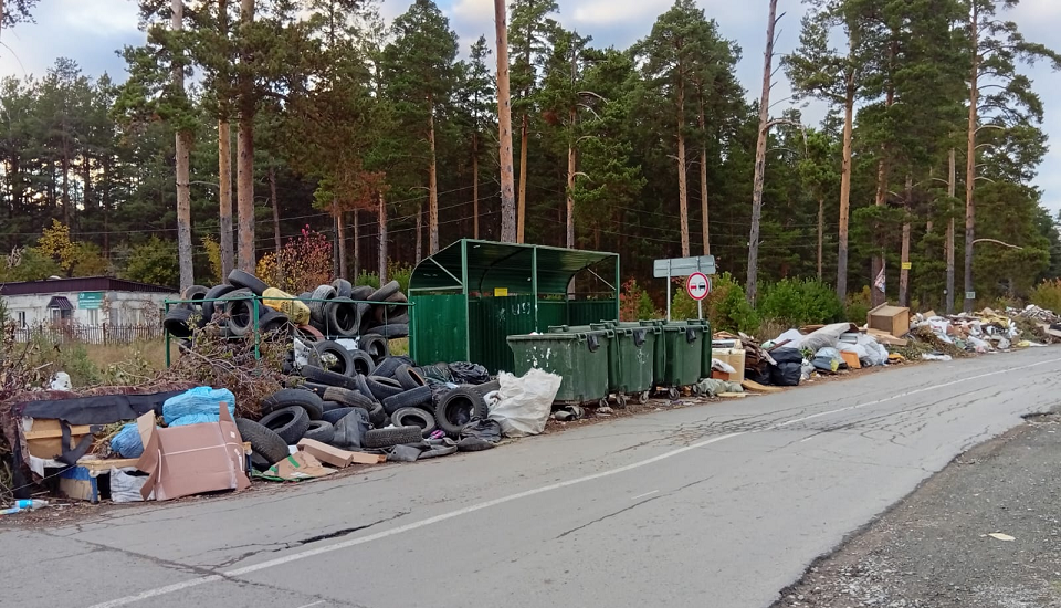Проблема мусора в Полевском - многосторонняя. Но камера может помочь
