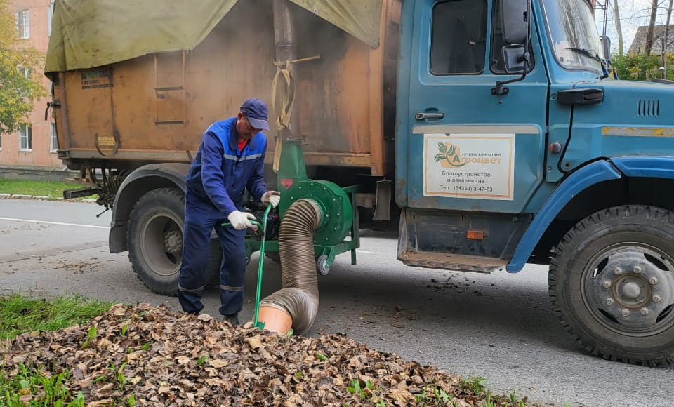 Листья быстро уберут с полевских газонов