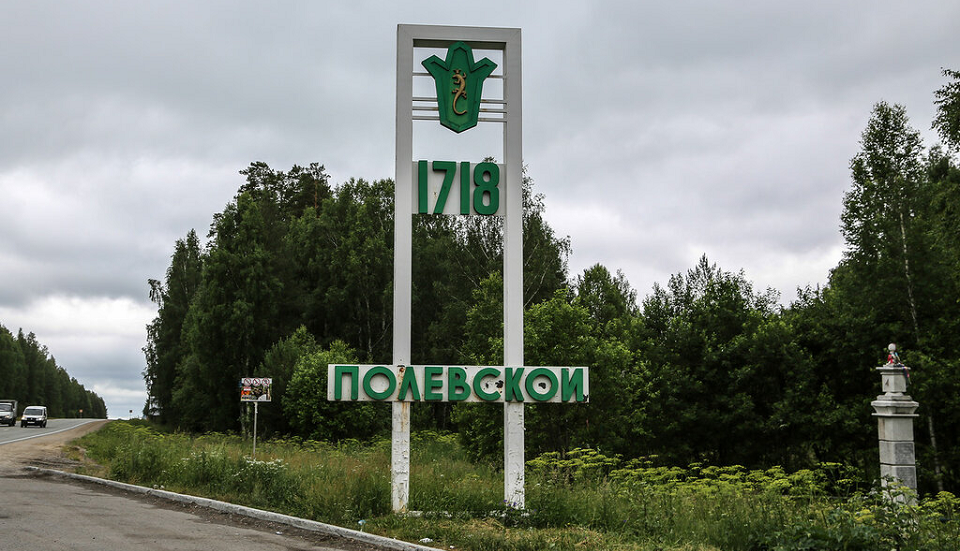 На Полевском тракте погиб лось