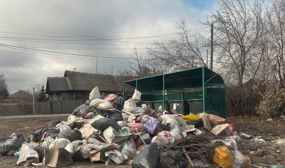 Полевчане в марте намусорили больше, чем в феврале