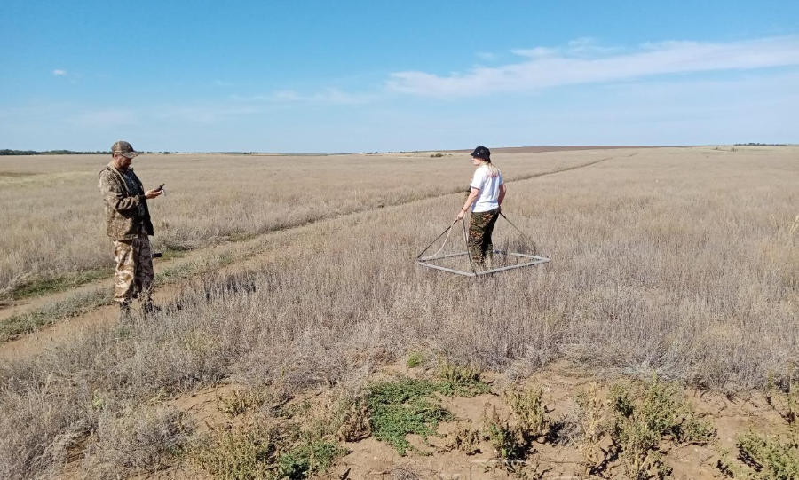 Что нашли поисковики в раскопе у хутора Шохина. Правда о подвиге