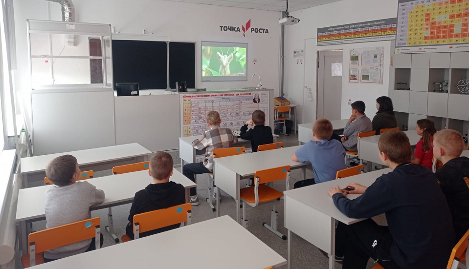 В полевских школах идет "осенняя смена"