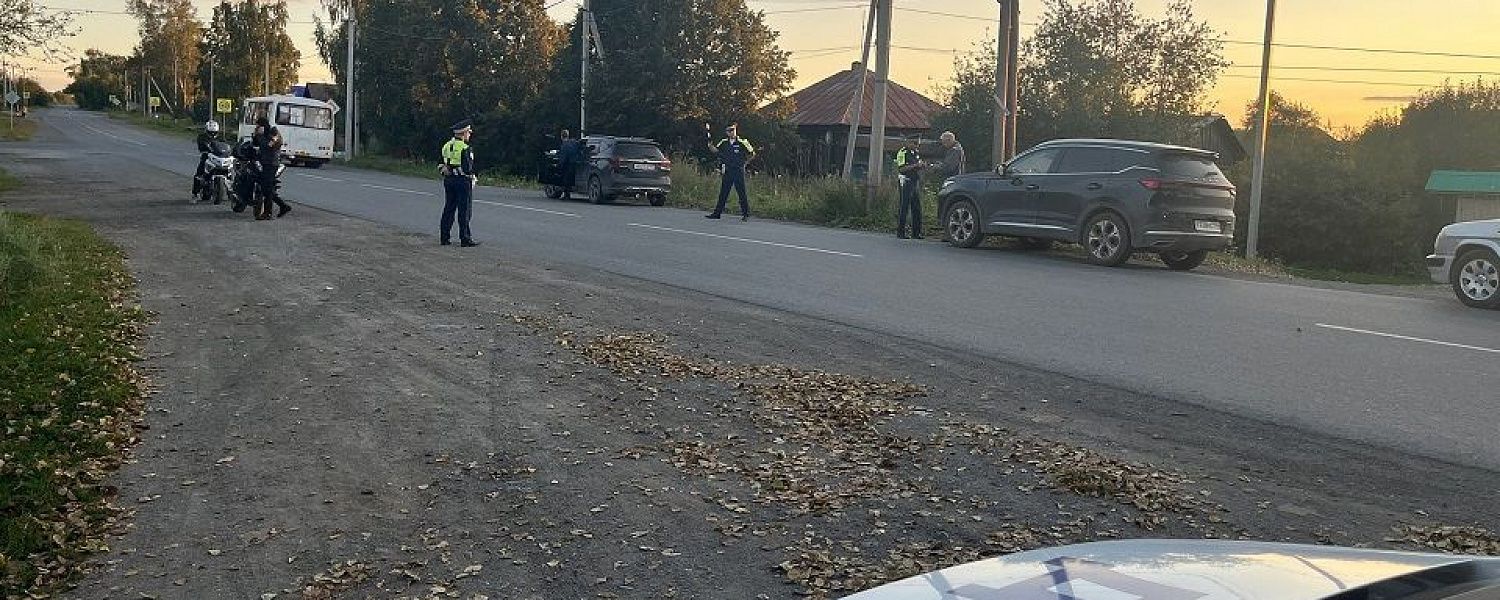 Полевская автоинспекция подвела итоги операции