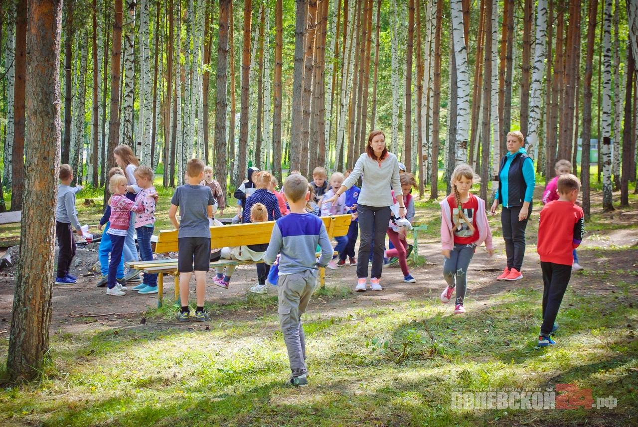 Лето приближается! Записывайтесь в лагерь! — Полевской 24.рф