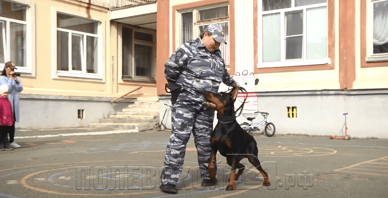 В полевской детский сад пришла полицейская собака — Полевской 24.рф